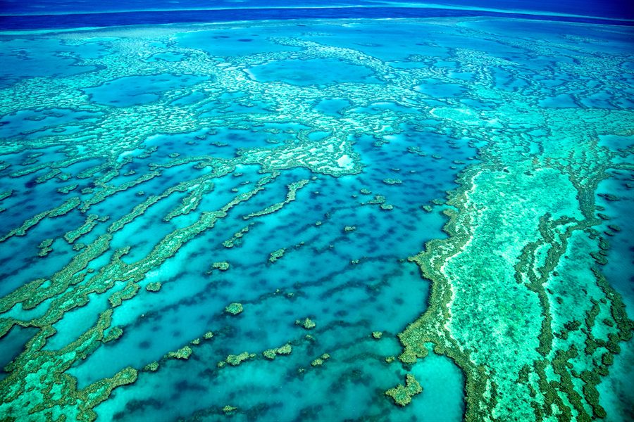 Aerial view of a reef